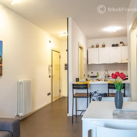 Serilary * بيزارو